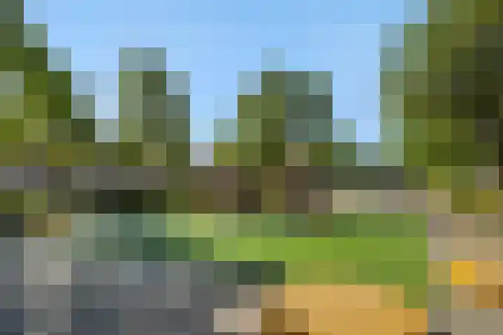 Hengmeng 106 's-Hertogenbosch thumbnail 33