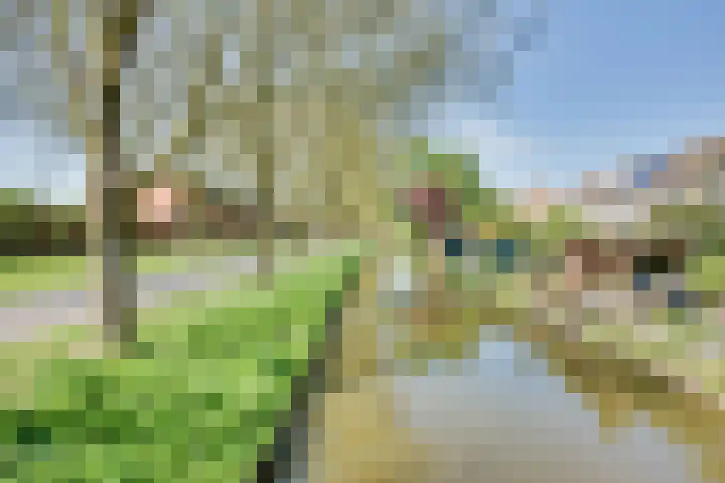 Hengmeng 118 's-Hertogenbosch thumbnail 69