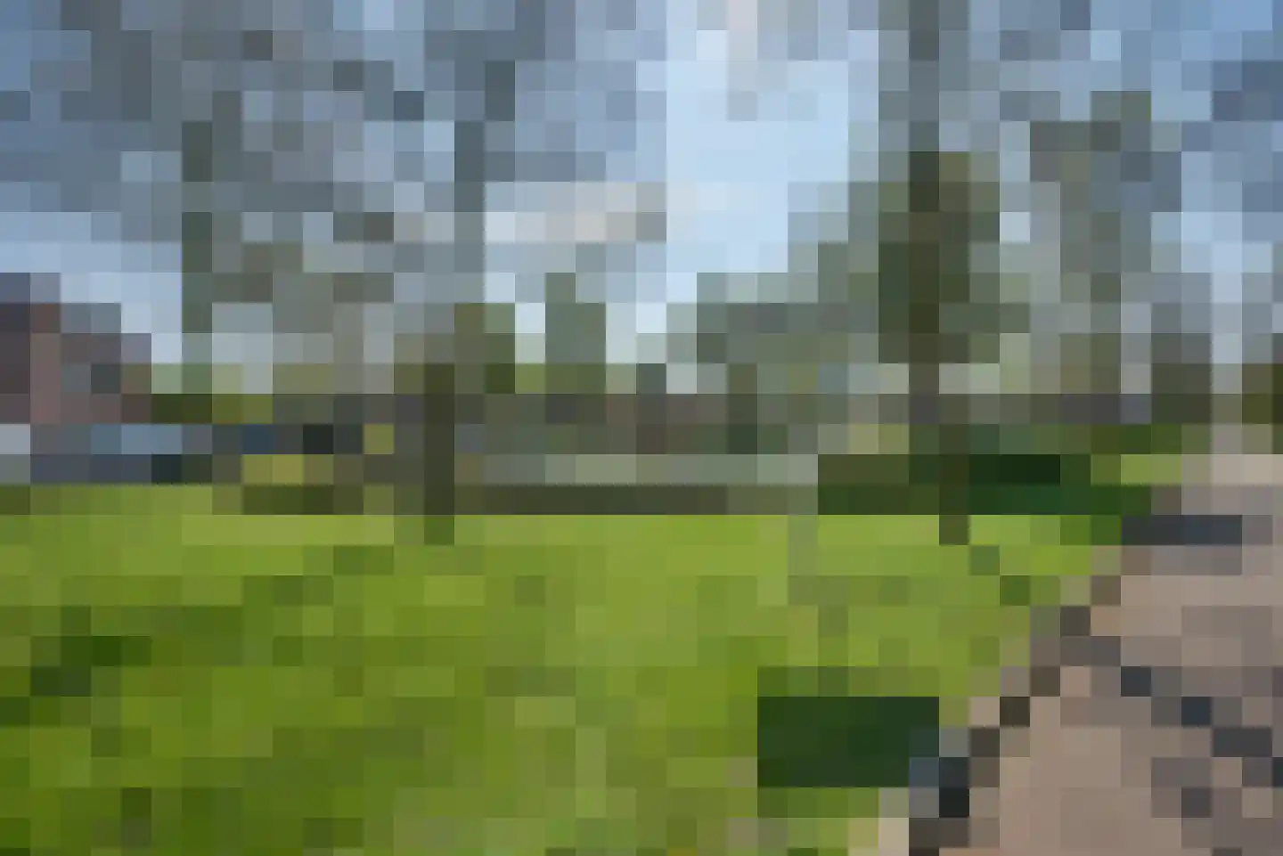 Hengmeng 118 's-Hertogenbosch thumbnail 72