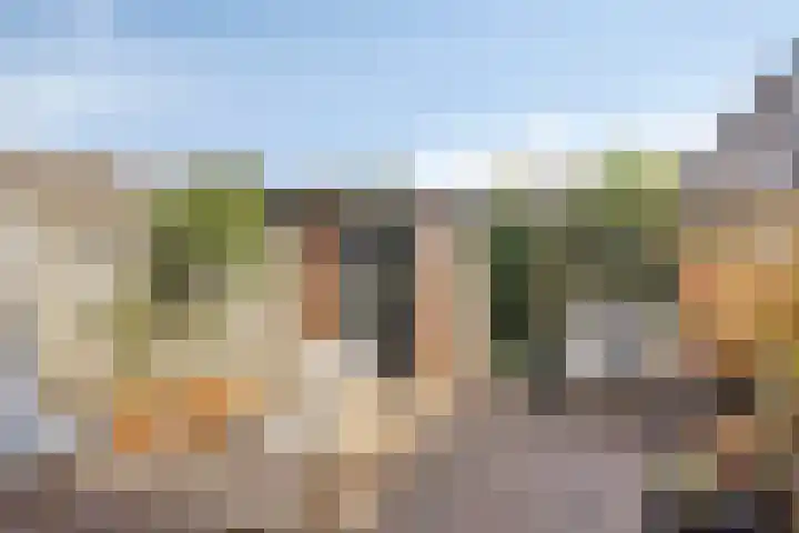 Hengmeng 29 's-Hertogenbosch thumbnail 10