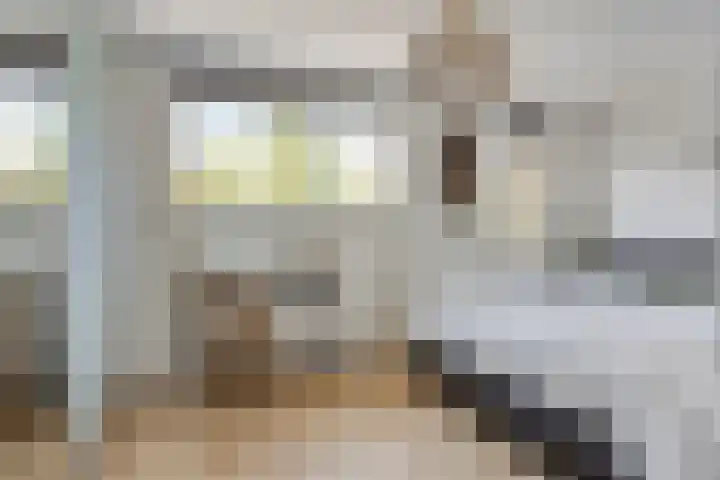 Hengmeng 29 's-Hertogenbosch thumbnail 14