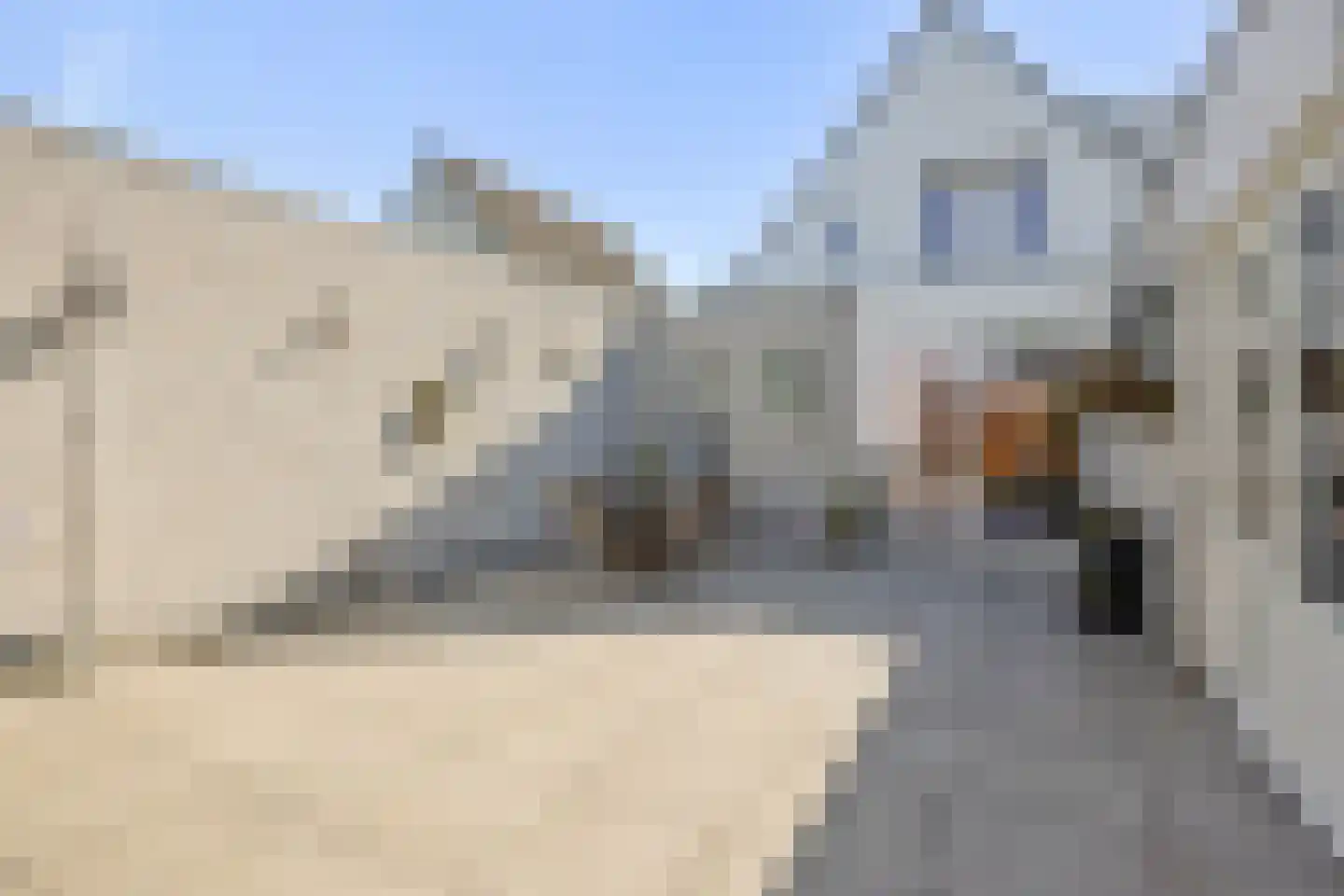 Hengmeng 64 's-Hertogenbosch thumbnail 27
