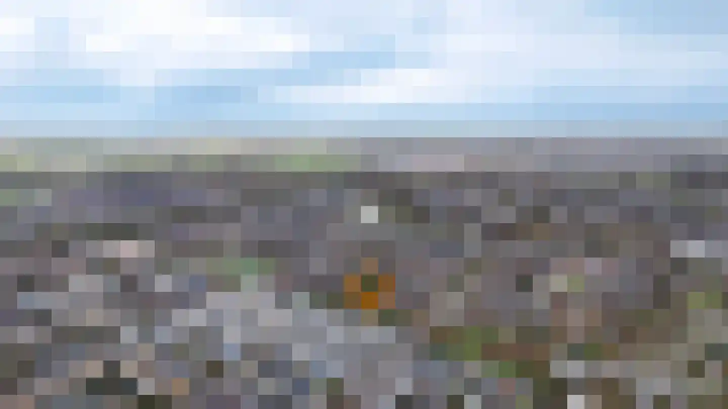 Hengmeng 64 's-Hertogenbosch thumbnail 37