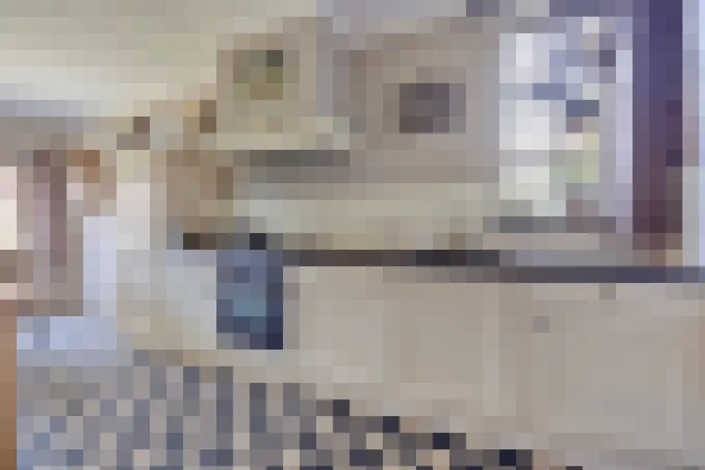 Hengstdijkse Kerkstraat 5 Hengstdijk thumbnail 14