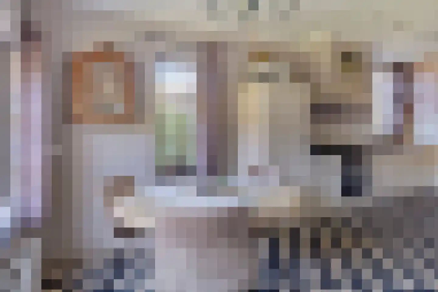 Hengstdijkse Kerkstraat 5 Hengstdijk thumbnail 20