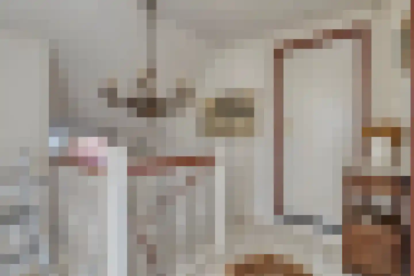 Hengstdijkse Kerkstraat 5 Hengstdijk thumbnail 21