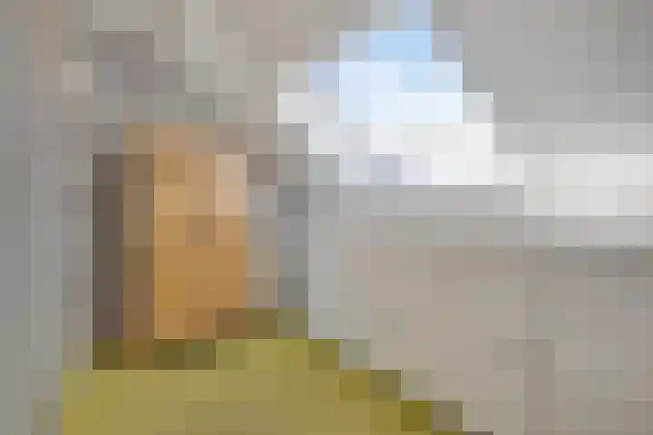 Hengstdijkse Kerkstraat 5 Hengstdijk thumbnail 24