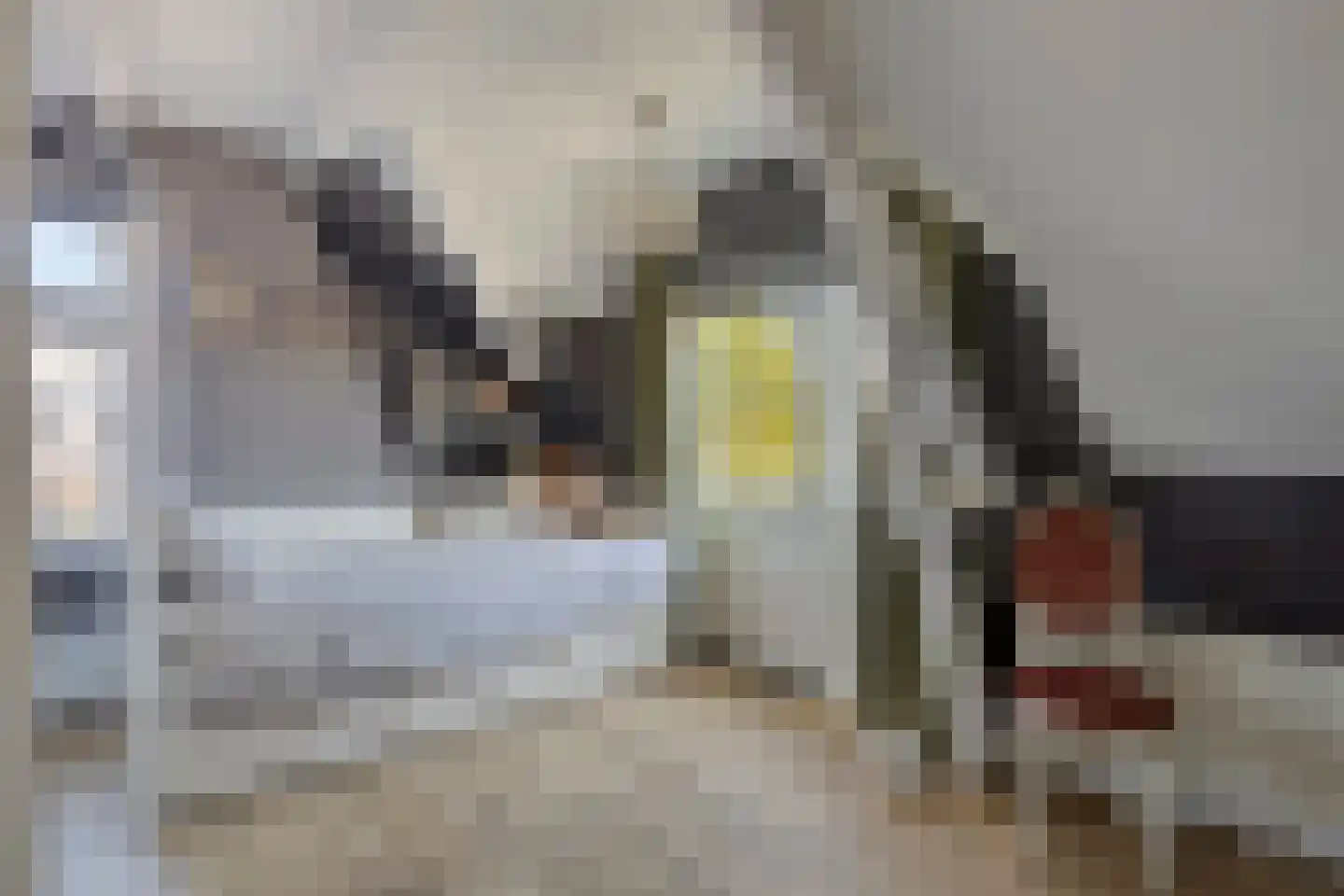 Hengstdijkse Kerkstraat 5 Hengstdijk thumbnail 25