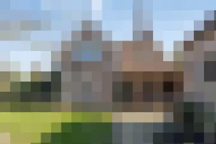 Hengstdijkse Kerkstraat 5 Hengstdijk thumbnail 39