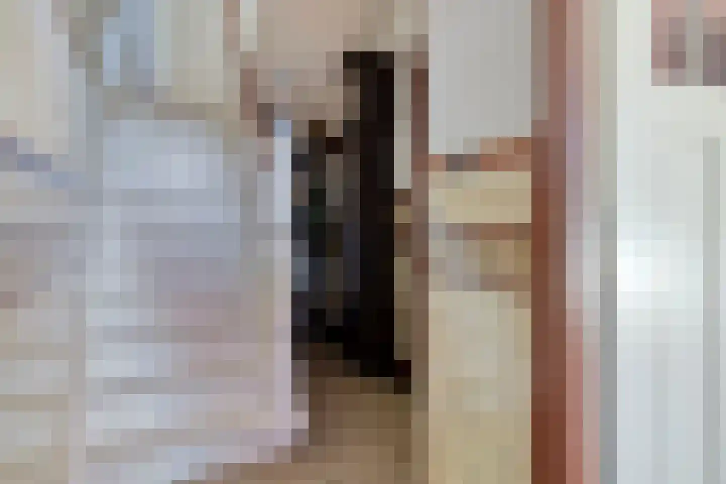 Hengstdijkse Kerkstraat 5 Hengstdijk thumbnail 6