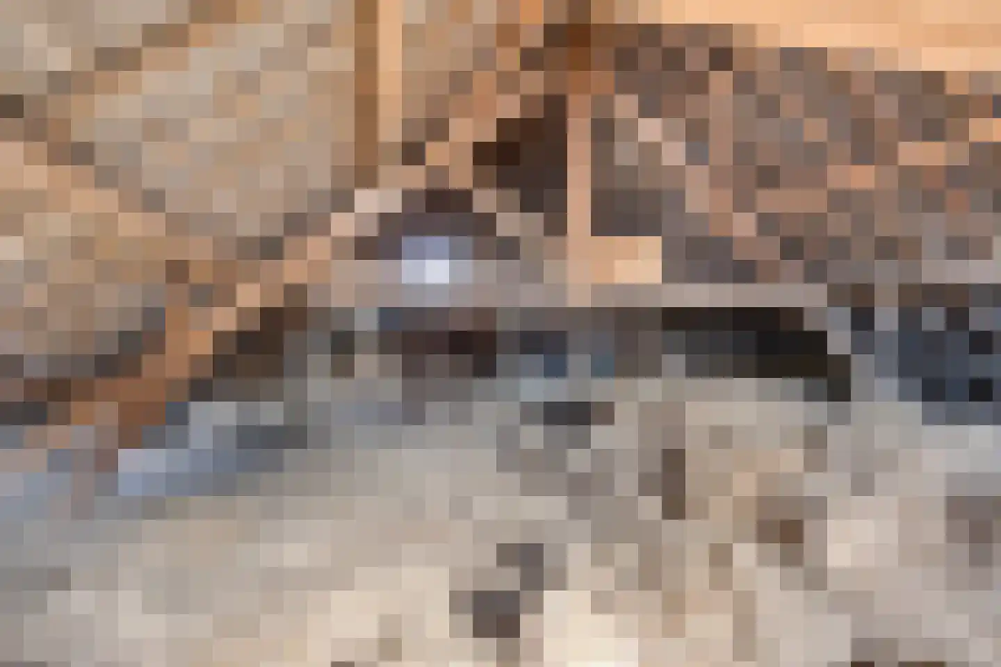 Hengstdijksekeiweg 4 Hengstdijk thumbnail 10