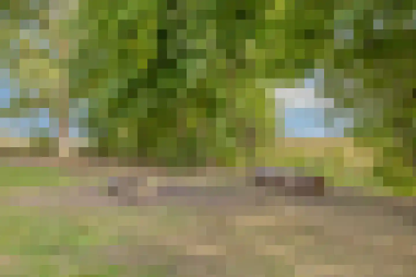 Hengstdijksekeiweg 4 Hengstdijk thumbnail 16
