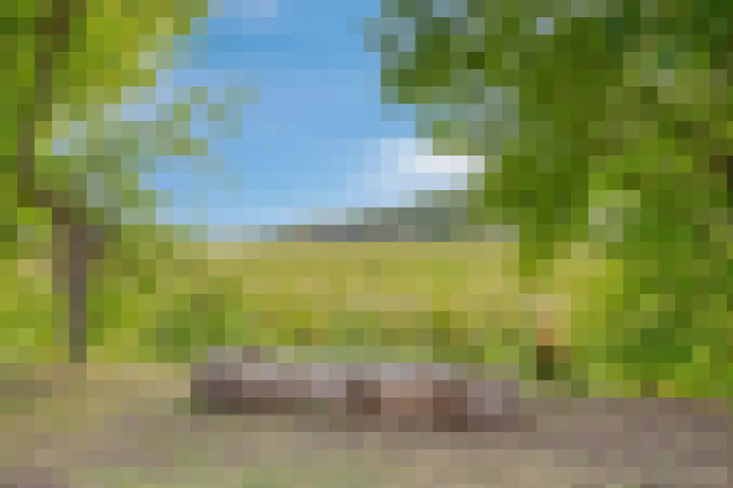 Hengstdijksekeiweg 4 Hengstdijk thumbnail 17