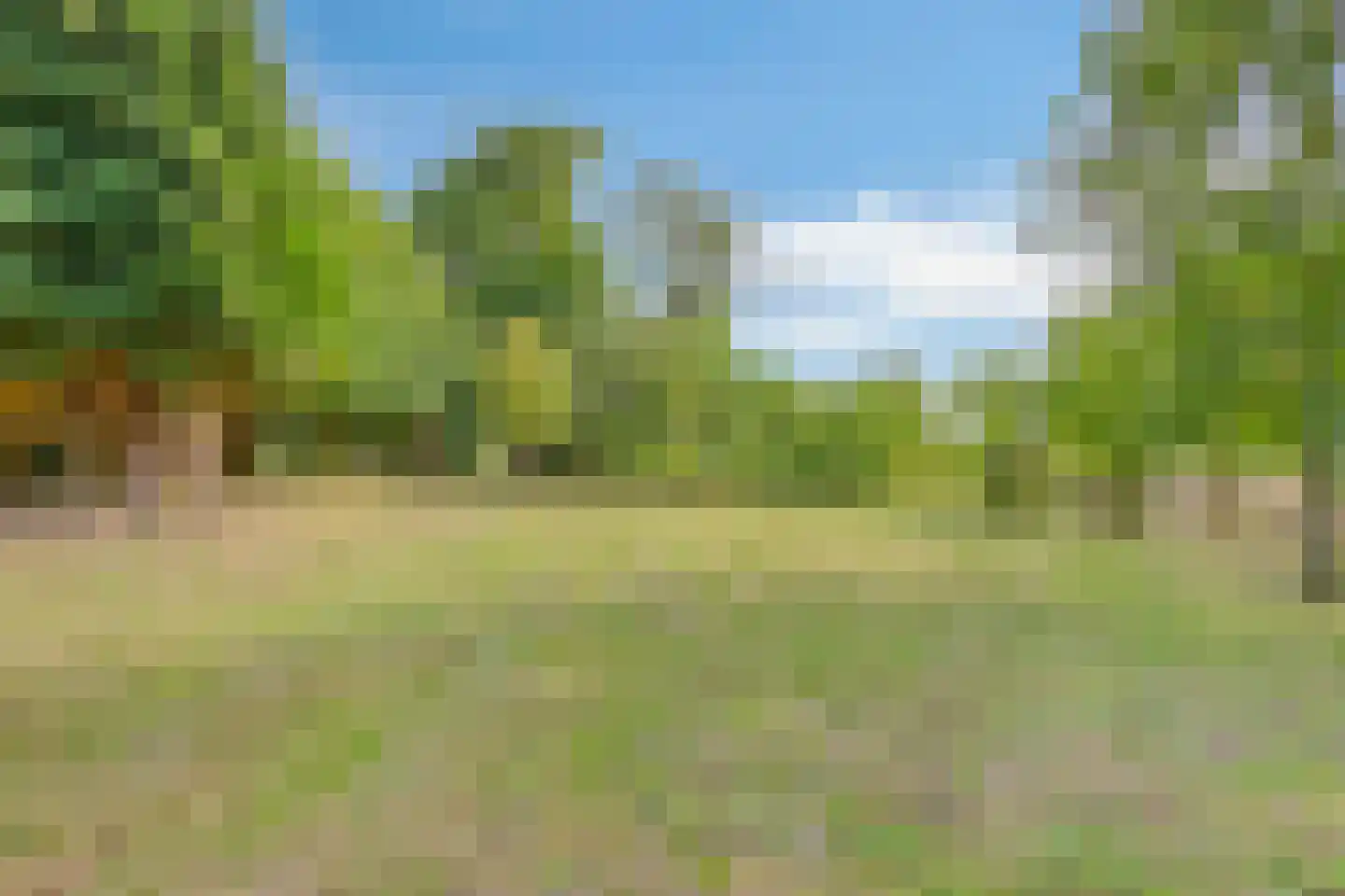 Hengstdijksekeiweg 4 Hengstdijk thumbnail 18