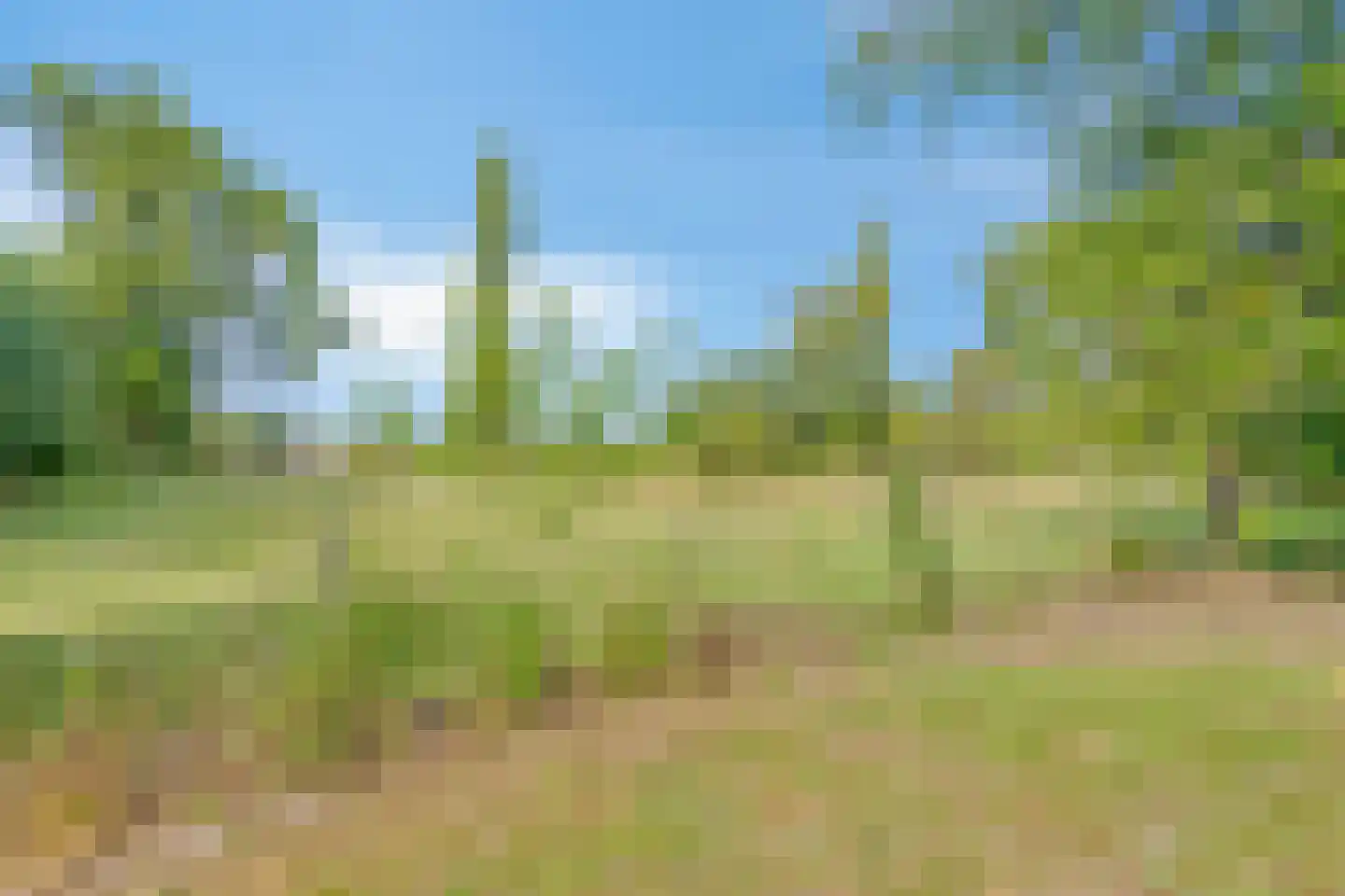 Hengstdijksekeiweg 4 Hengstdijk thumbnail 19