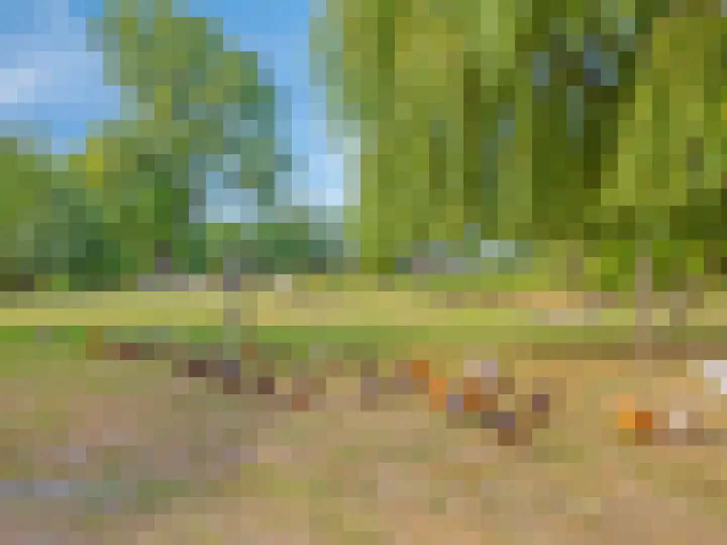 Hengstdijksekeiweg 4 Hengstdijk thumbnail 20