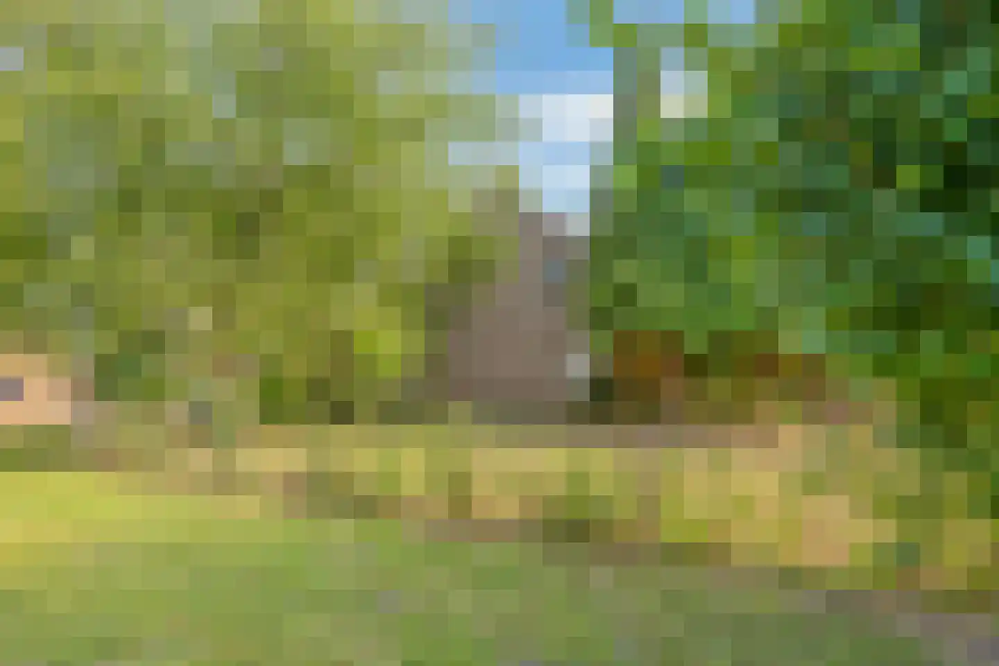 Hengstdijksekeiweg 4 Hengstdijk thumbnail 22