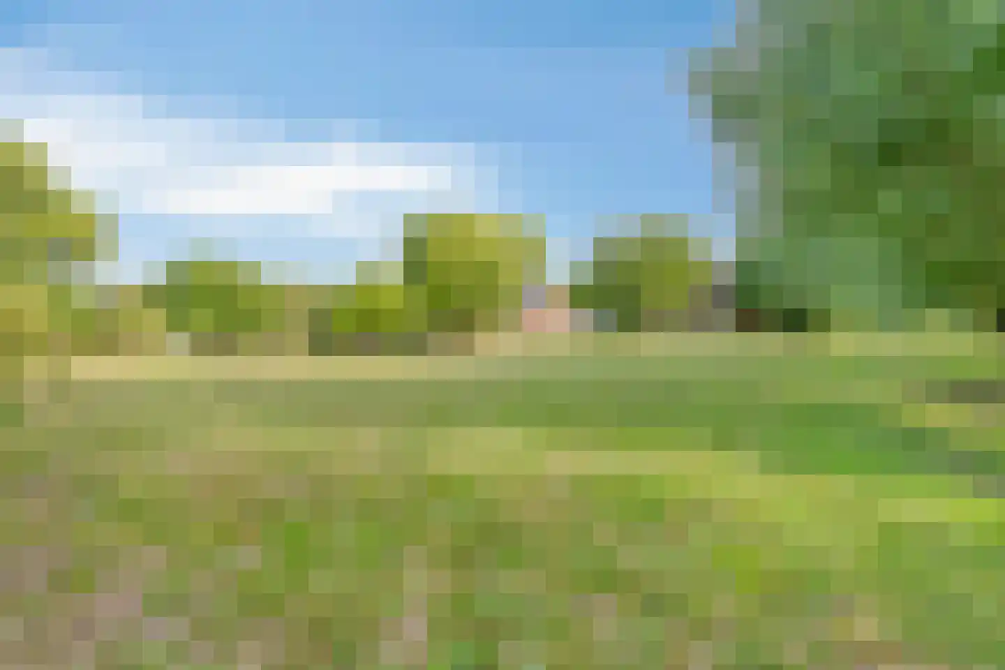 Hengstdijksekeiweg 4 Hengstdijk thumbnail 24