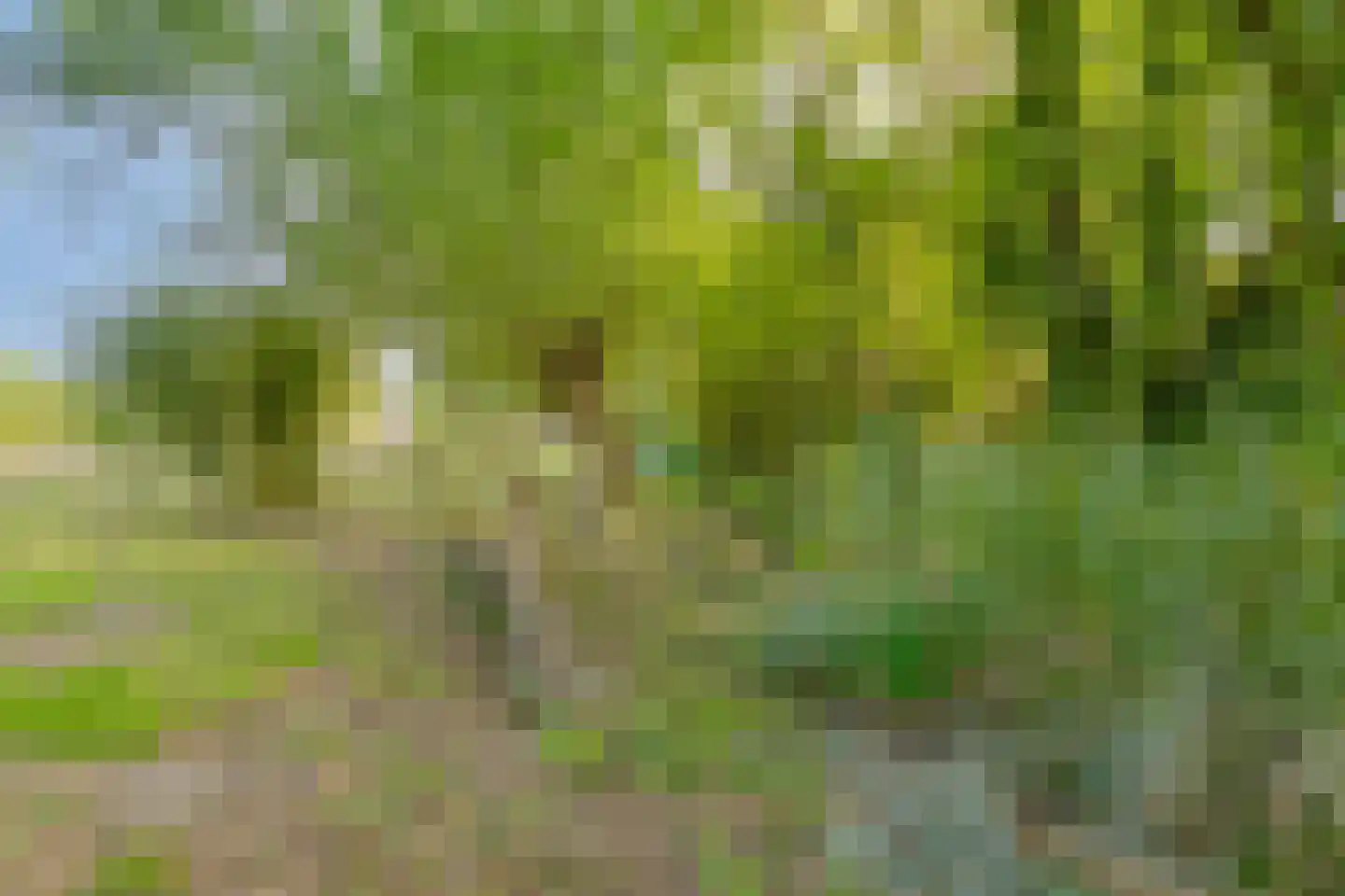 Hengstdijksekeiweg 4 Hengstdijk thumbnail 25