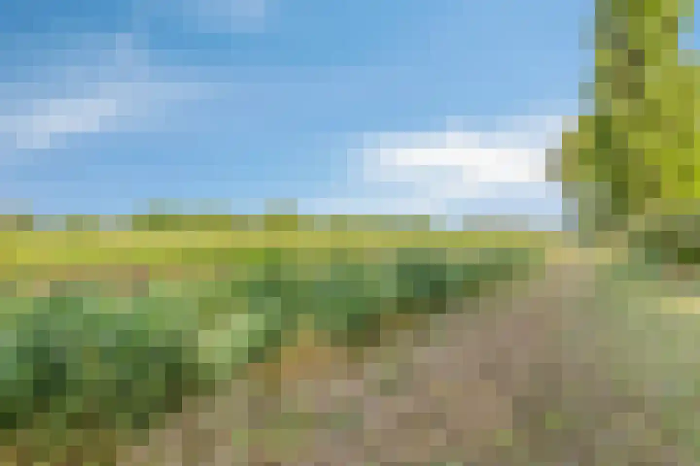 Hengstdijksekeiweg 4 Hengstdijk thumbnail 26
