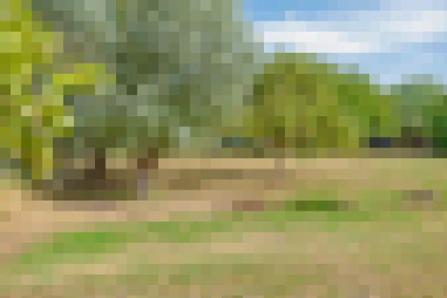 Hengstdijksekeiweg 4 Hengstdijk thumbnail 28