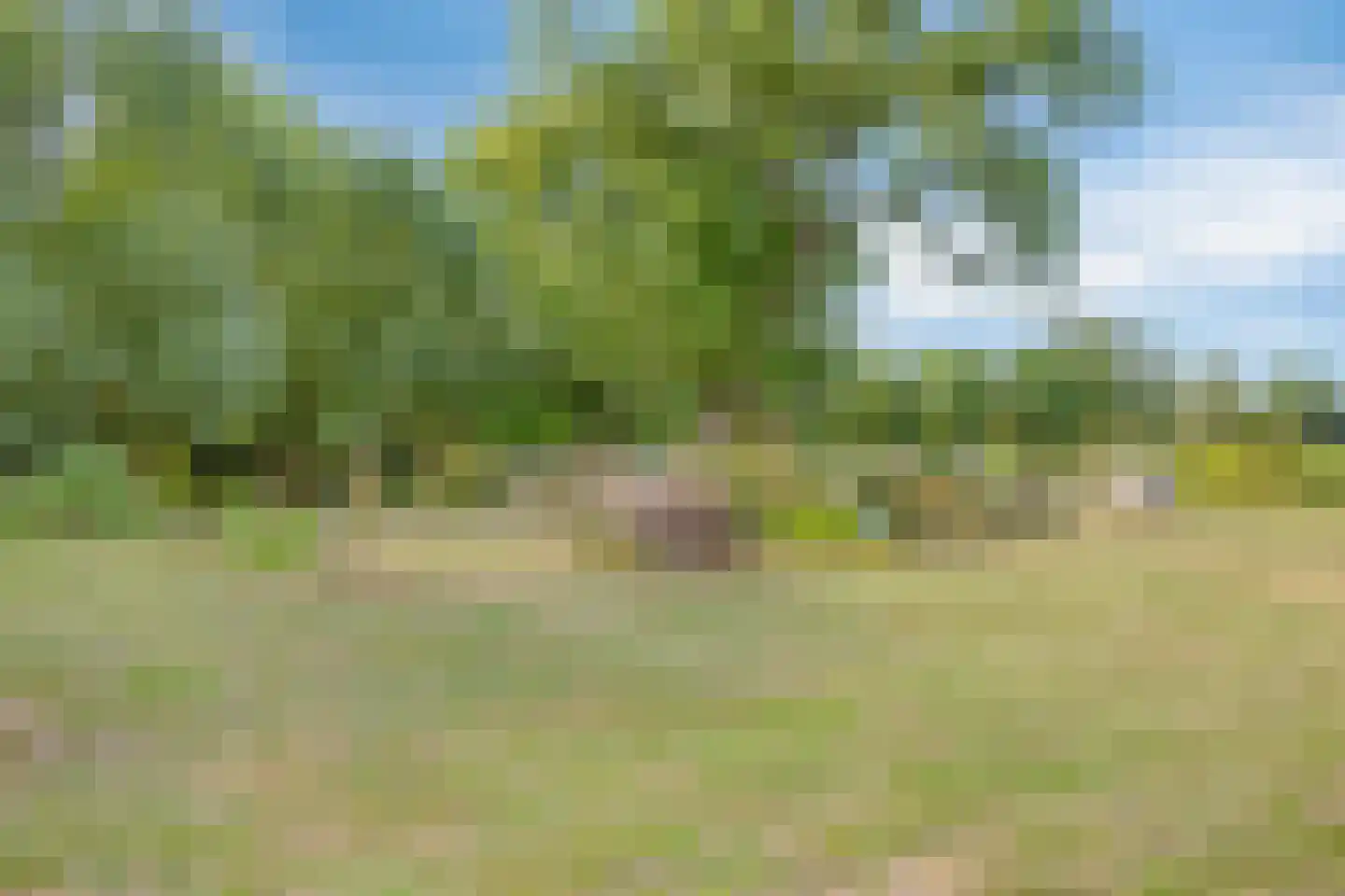 Hengstdijksekeiweg 4 Hengstdijk thumbnail 29