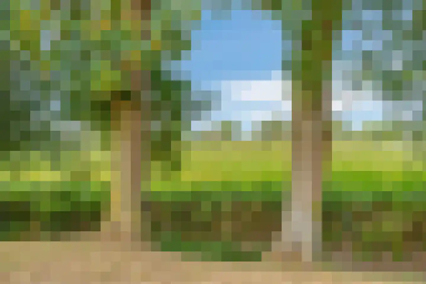 Hengstdijksekeiweg 4 Hengstdijk thumbnail 31