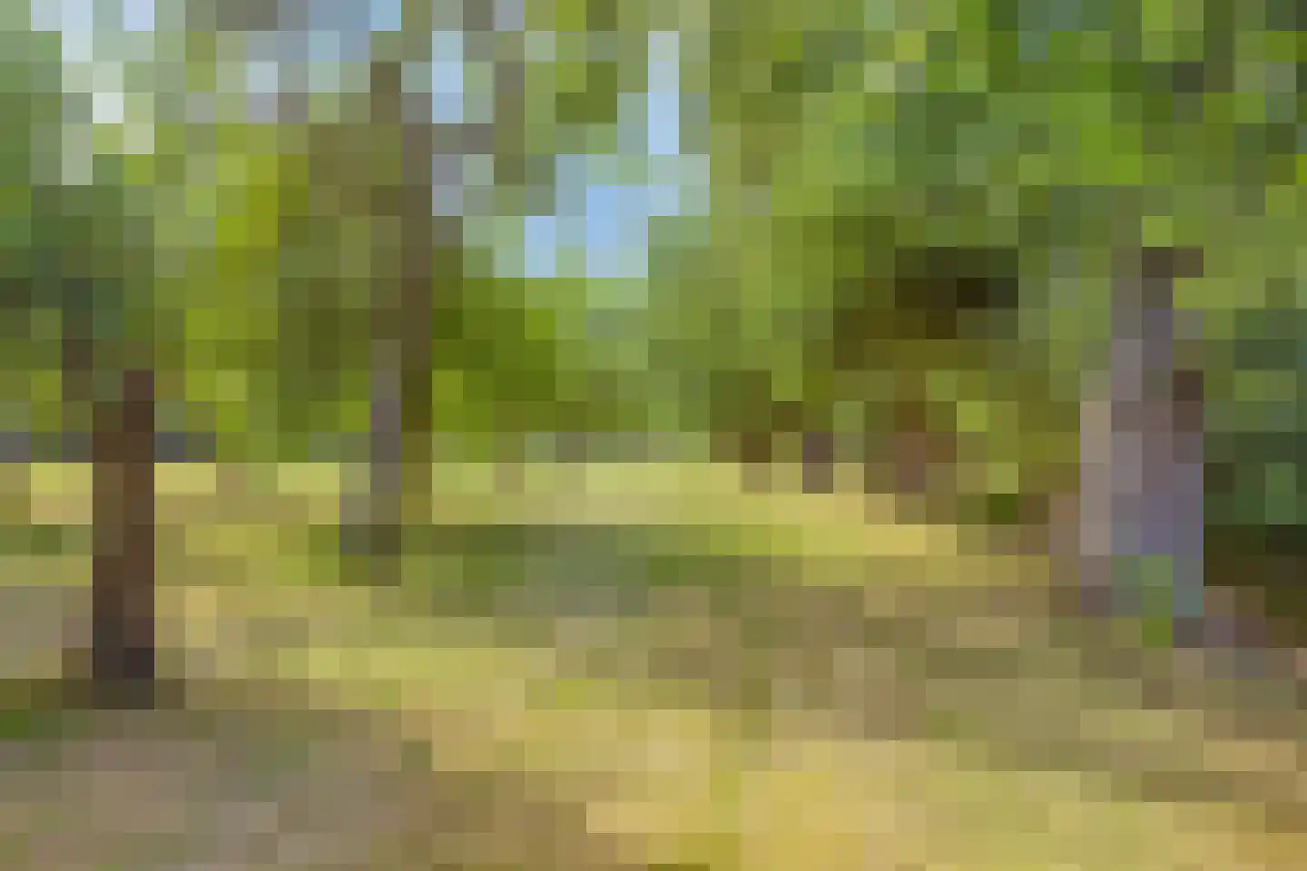 Hengstdijksekeiweg 4 Hengstdijk thumbnail 32