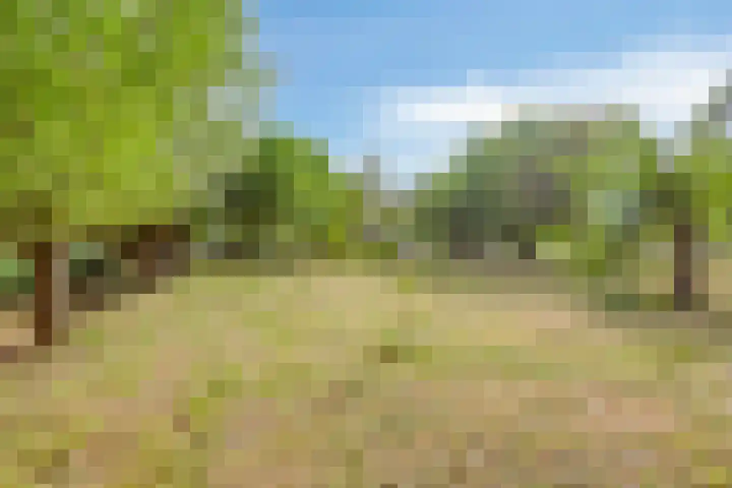 Hengstdijksekeiweg 4 Hengstdijk thumbnail 33