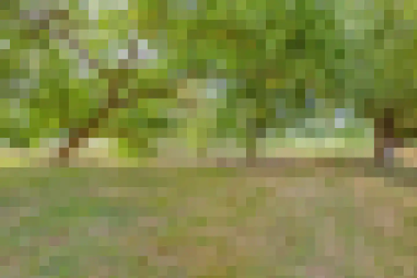 Hengstdijksekeiweg 4 Hengstdijk thumbnail 34