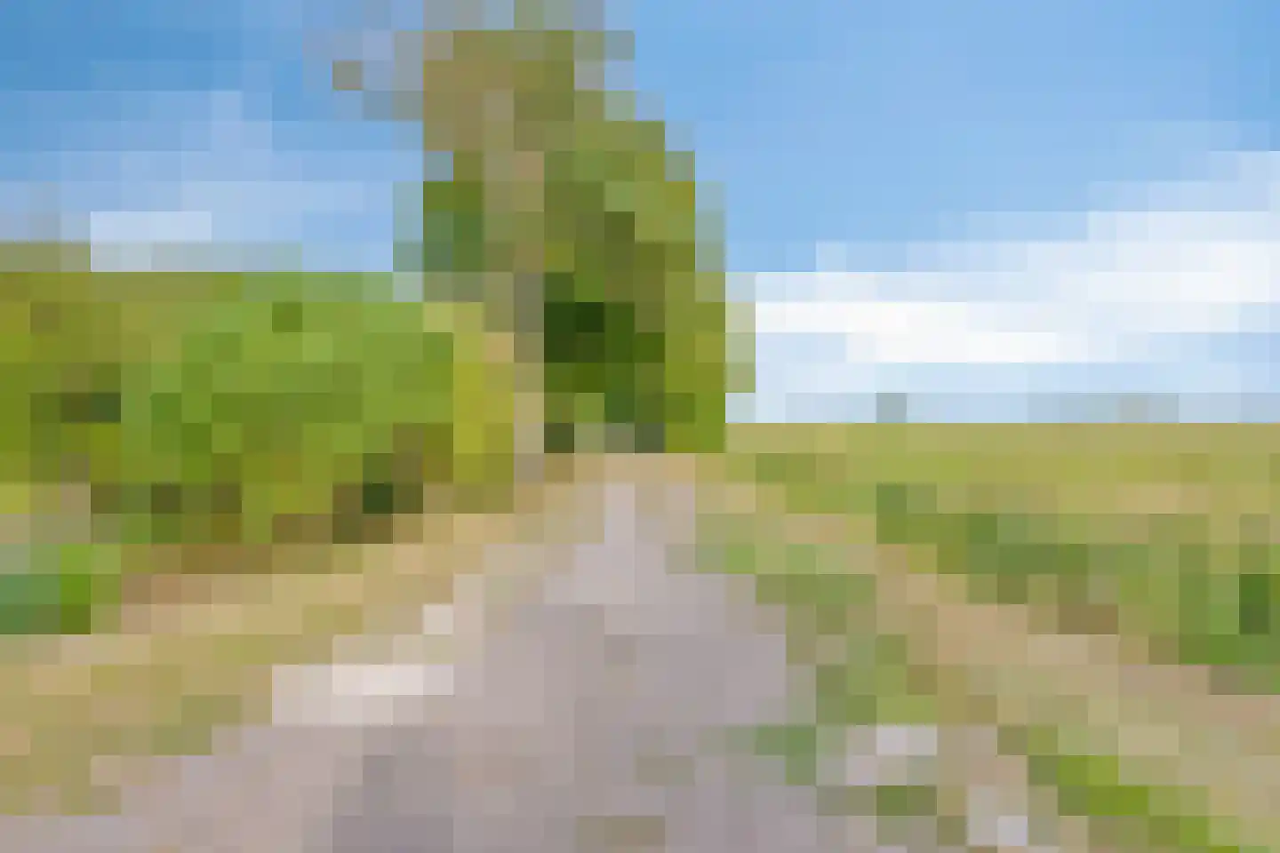 Hengstdijksekeiweg 4 Hengstdijk thumbnail 35