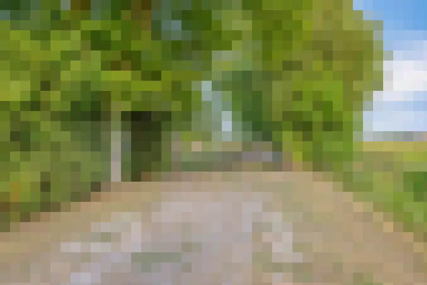 Hengstdijksekeiweg 4 Hengstdijk thumbnail 37