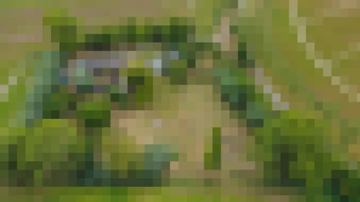 Hengstdijksekeiweg 4 Hengstdijk thumbnail 40