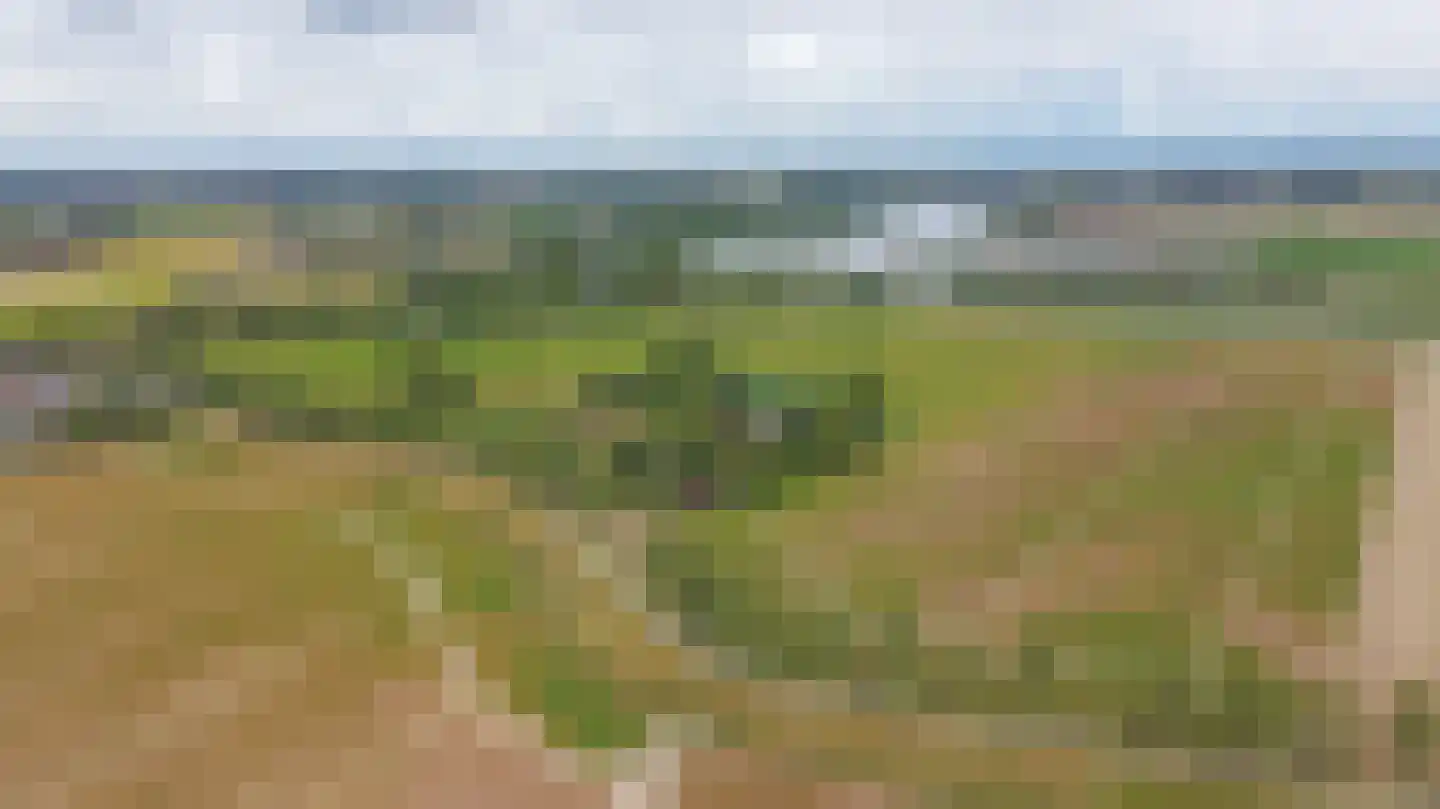 Hengstdijksekeiweg 4 Hengstdijk thumbnail 41
