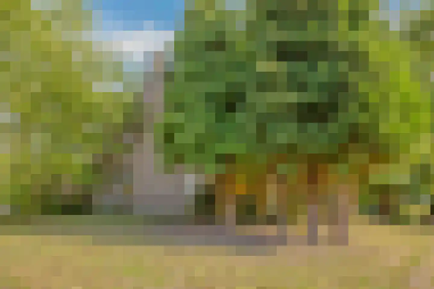 Hengstdijksekeiweg 4 Hengstdijk thumbnail 6
