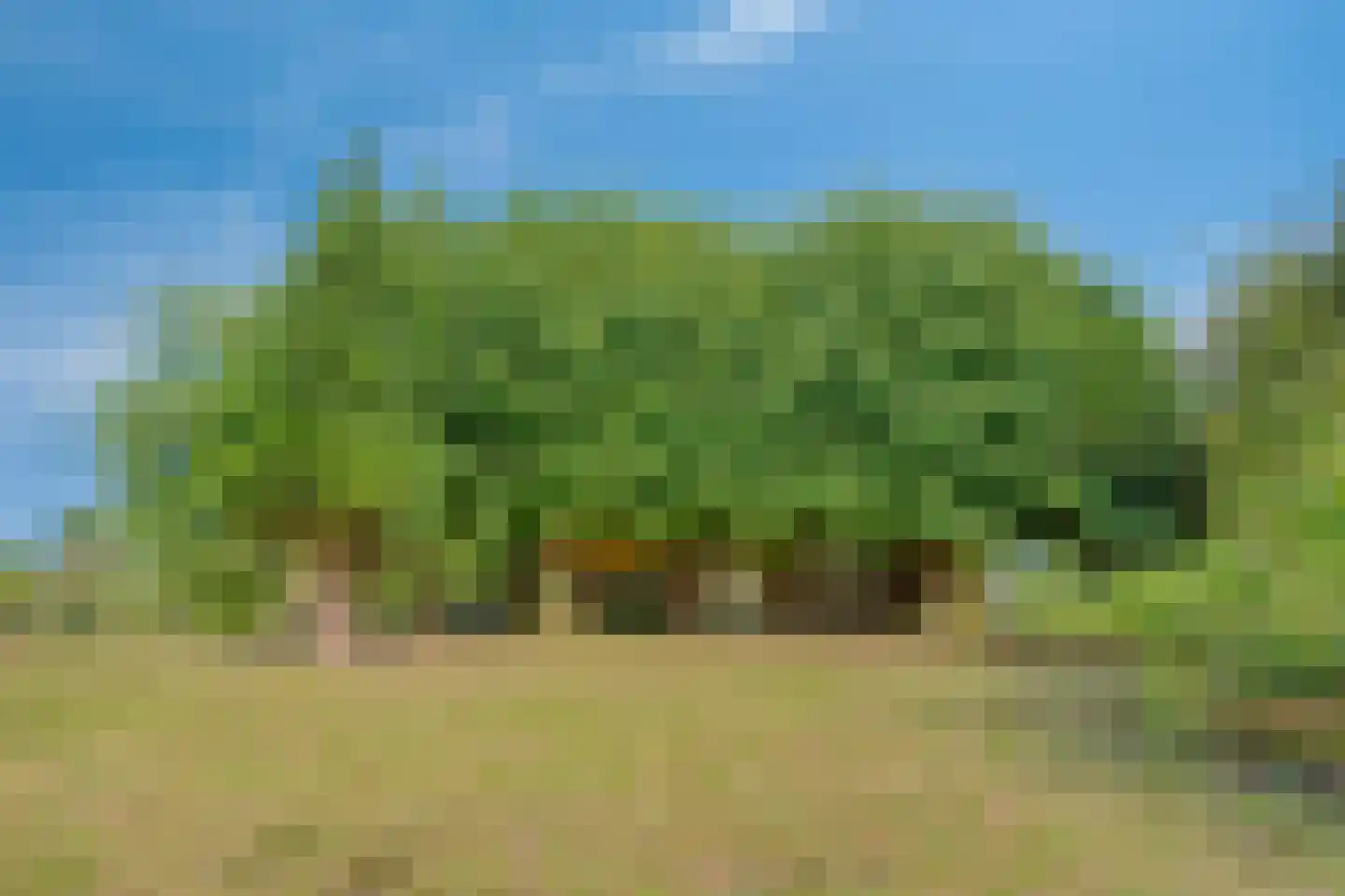 Hengstdijksekeiweg 4 Hengstdijk thumbnail 7