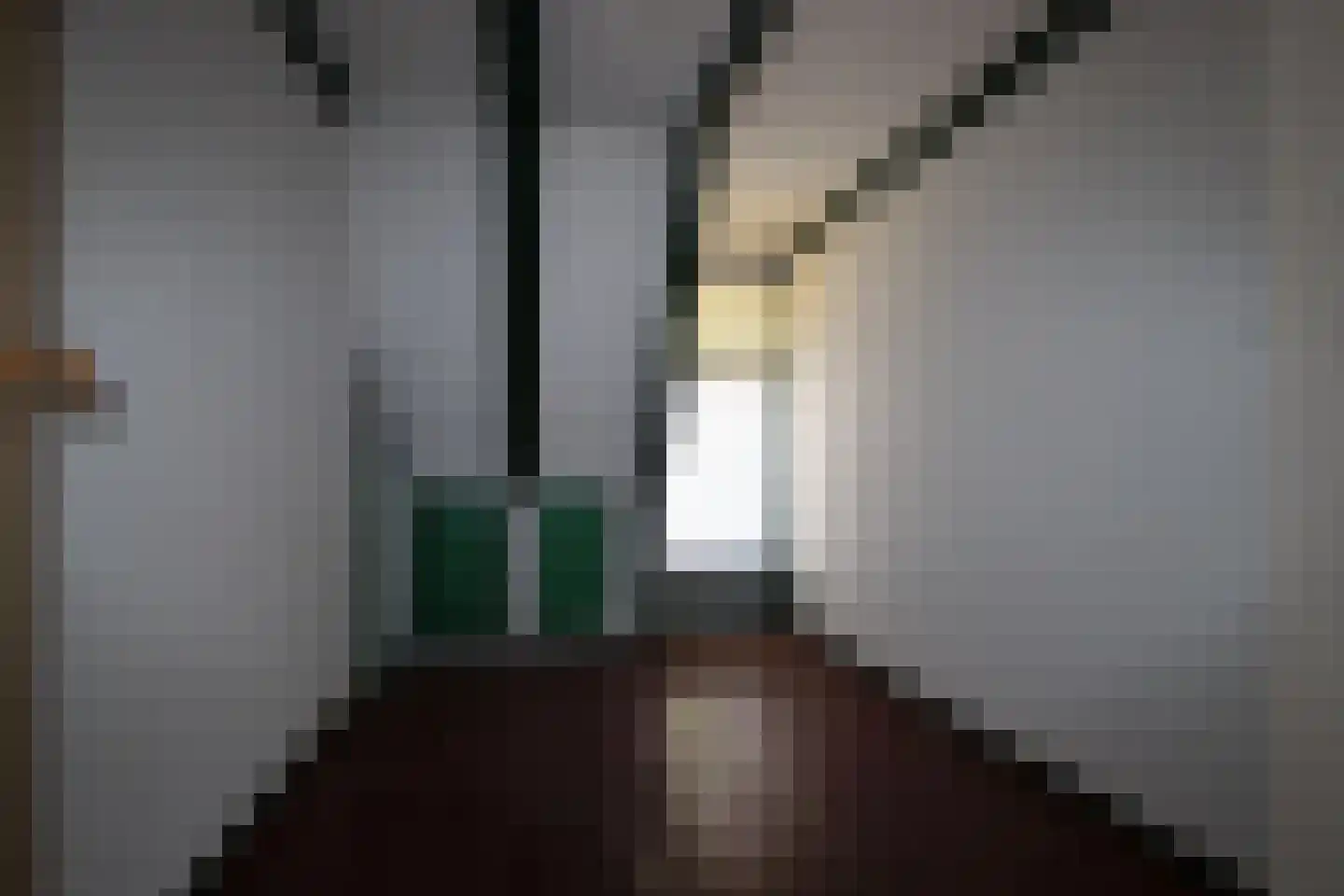 Hengstepad 3 Bolsward thumbnail 22