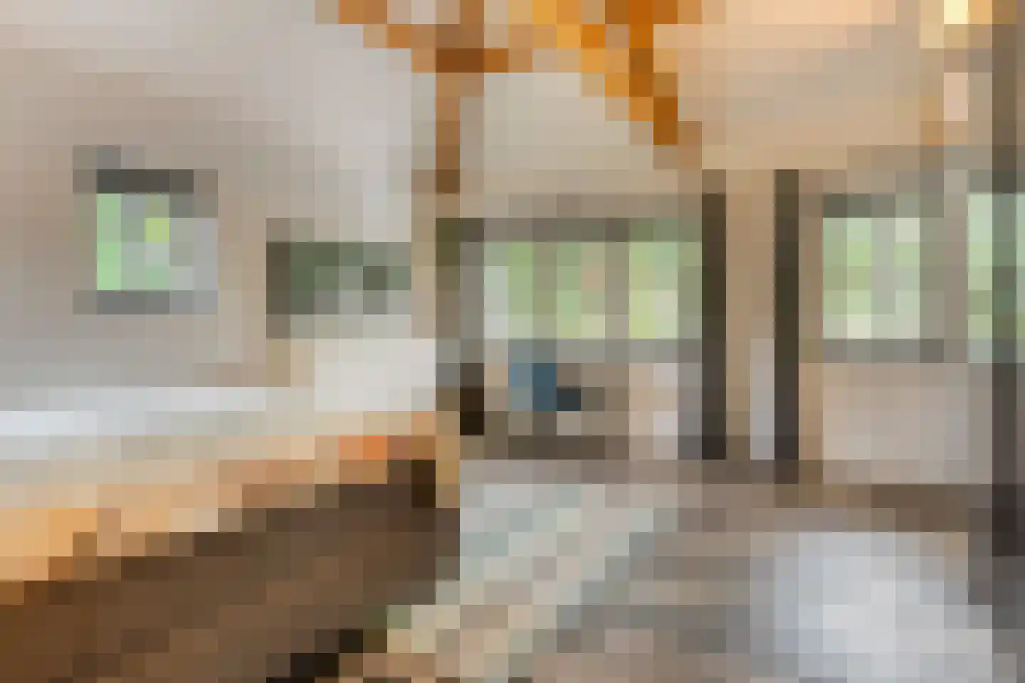 Hengstheuvelweg 5 Uden thumbnail 31