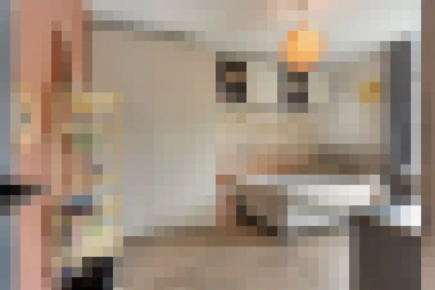 Hengstheuvelweg 5 Uden thumbnail 41