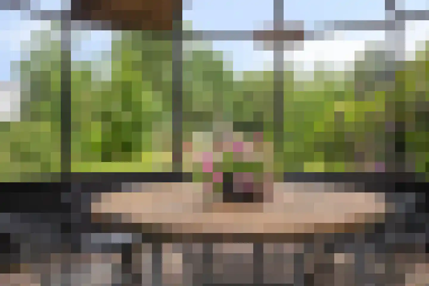 Hengstheuvelweg 5 Uden thumbnail 47
