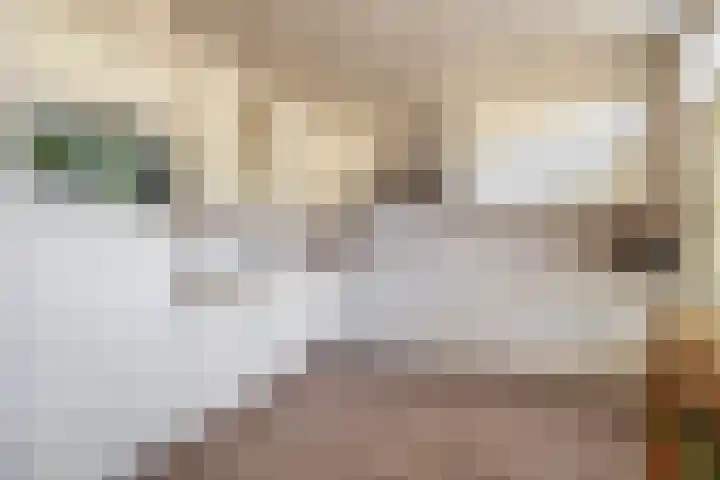 Henk Badingspark 14 Waalwijk thumbnail 15