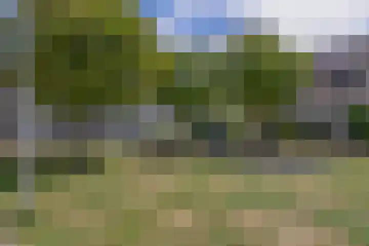 Henk Badingspark 14 Waalwijk thumbnail 33