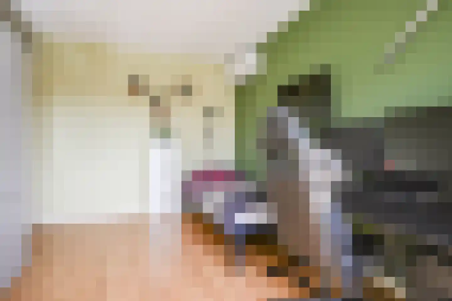 Henk Barnardsingel 10 Berkel en Rodenrijs thumbnail 29