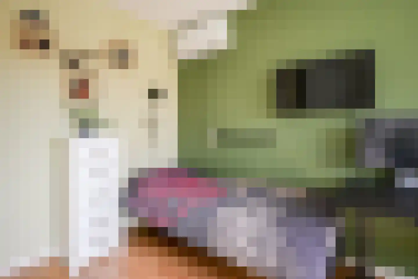 Henk Barnardsingel 10 Berkel en Rodenrijs thumbnail 30