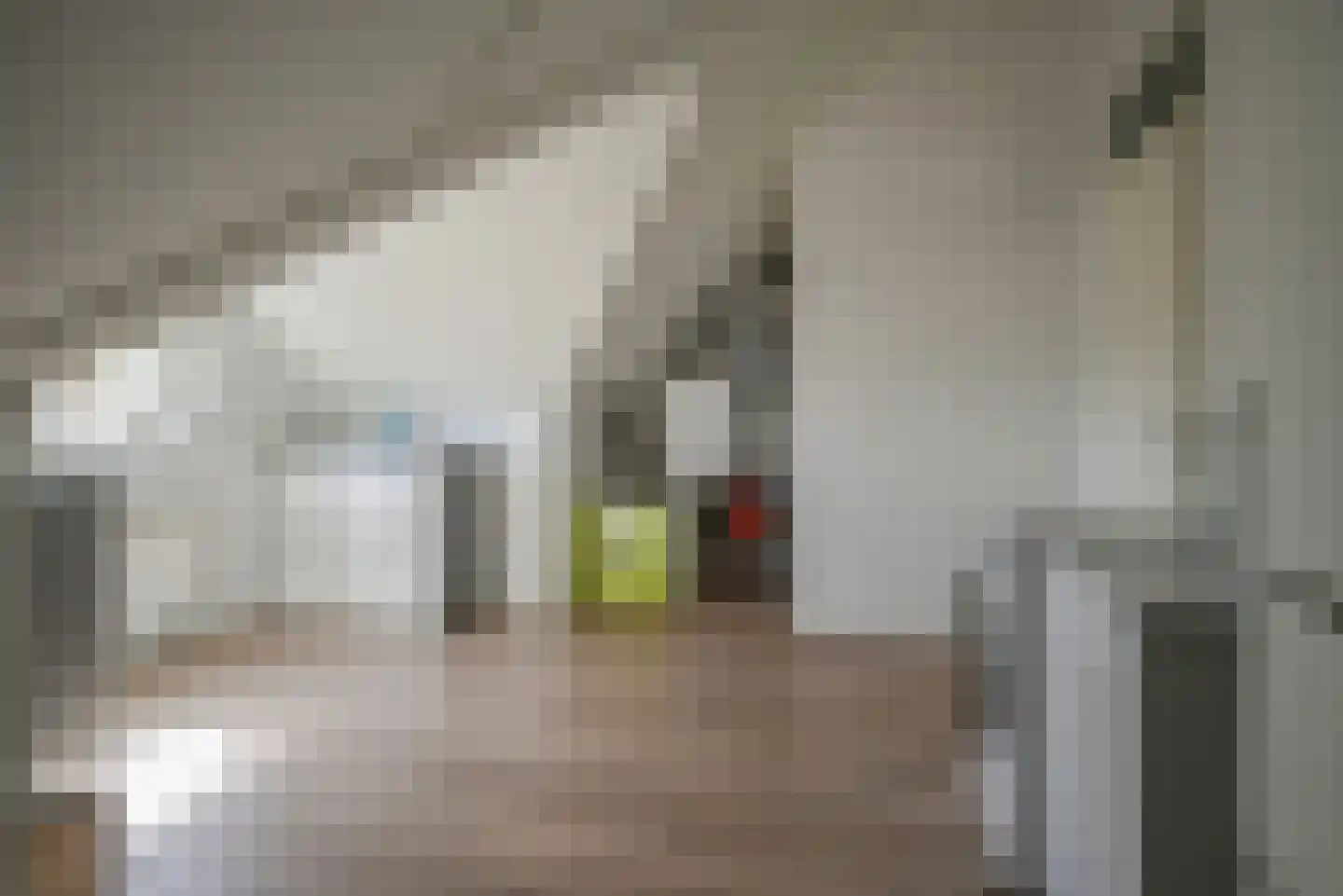 Henk Barnardsingel 10 Berkel en Rodenrijs thumbnail 39