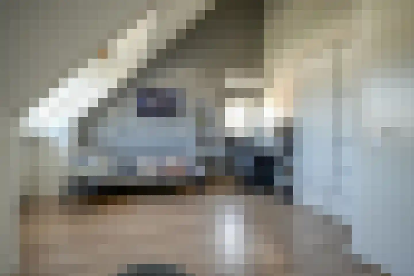 Henk Barnardsingel 10 Berkel en Rodenrijs thumbnail 42