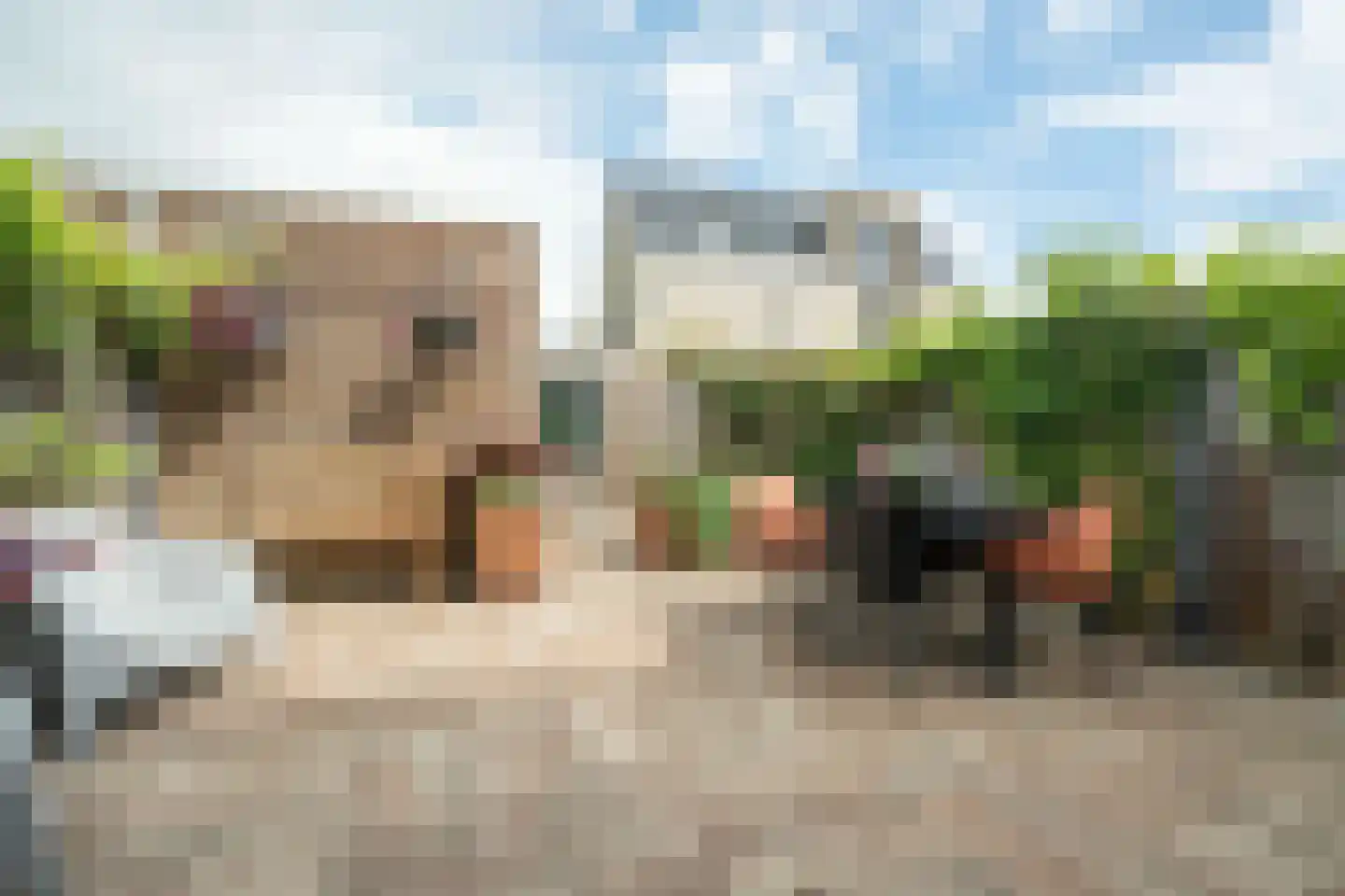 Henk Blankestijnstraat 22 Wageningen thumbnail 29