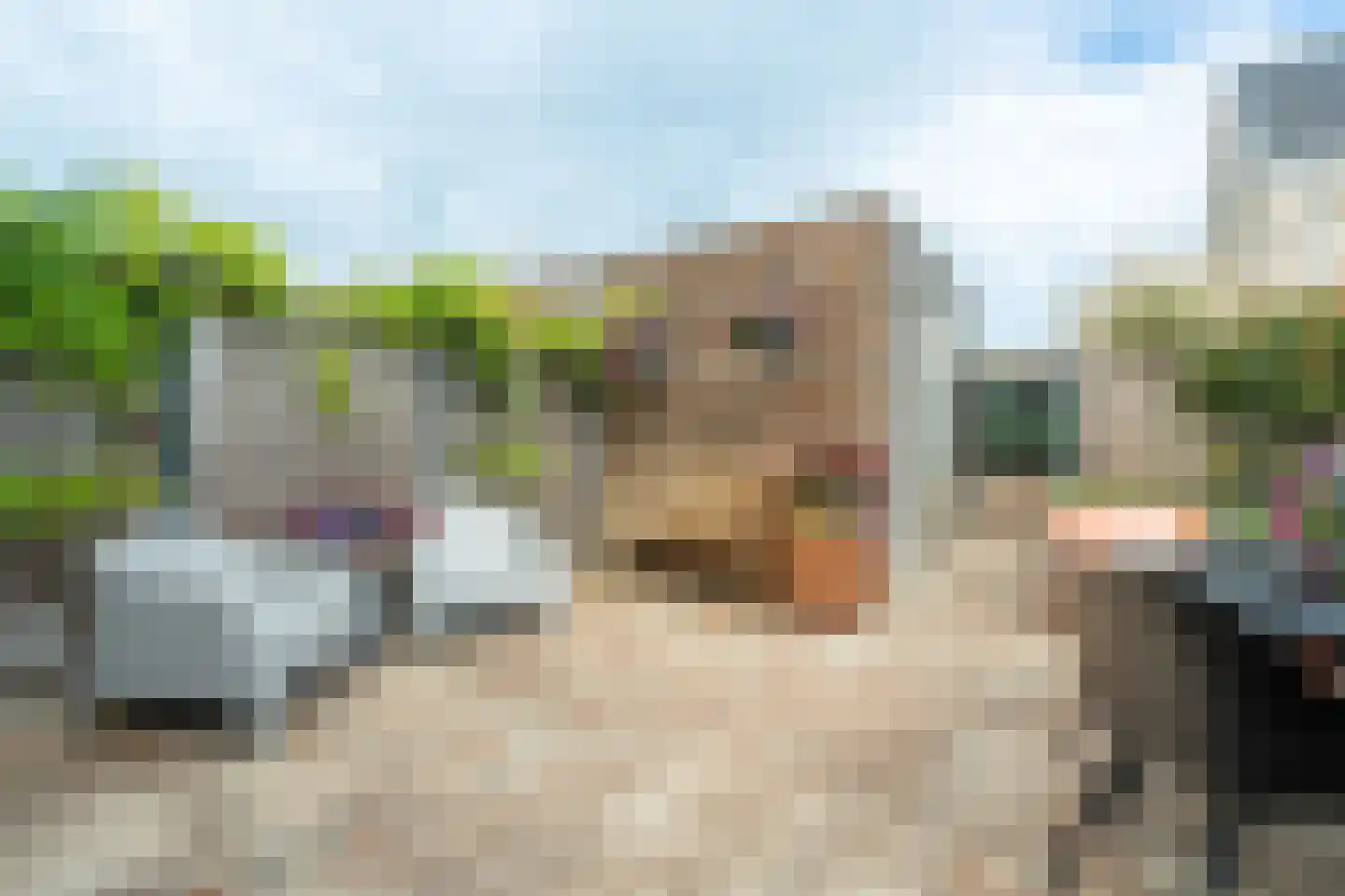 Henk Blankestijnstraat 22 Wageningen thumbnail 30