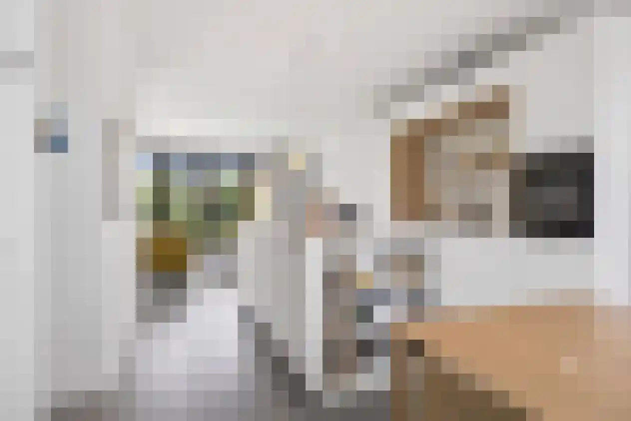 Henk Blankestijnstraat 36 Wageningen thumbnail 5