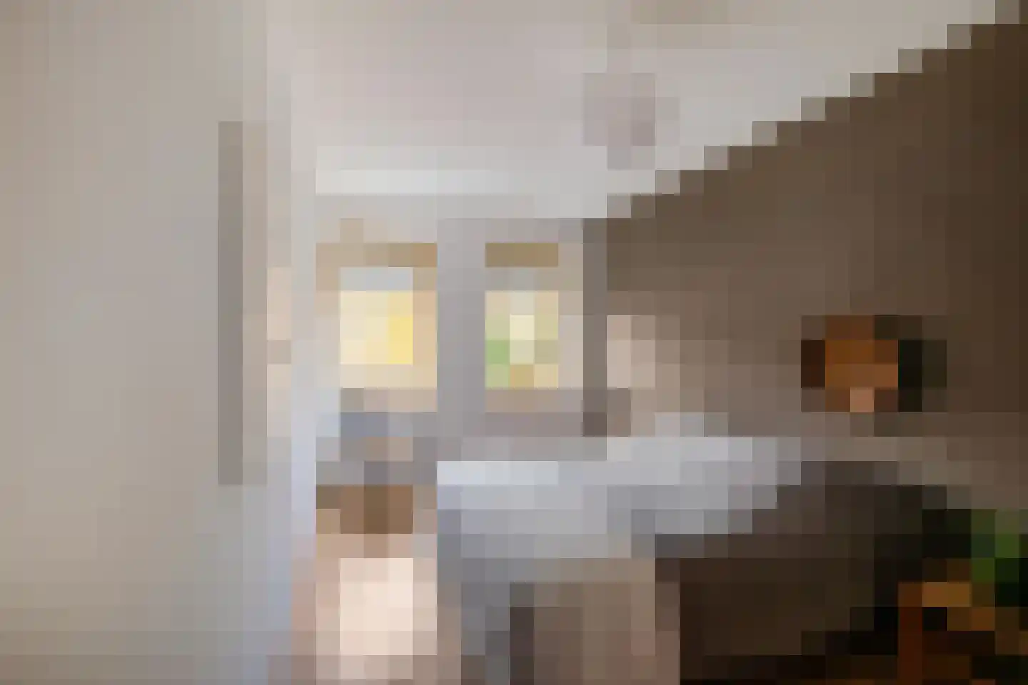 Henk Cornelisstraat 7 Groningen thumbnail 19